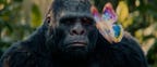 Gods_Dont_Give_Gifts_Still_Gorilla